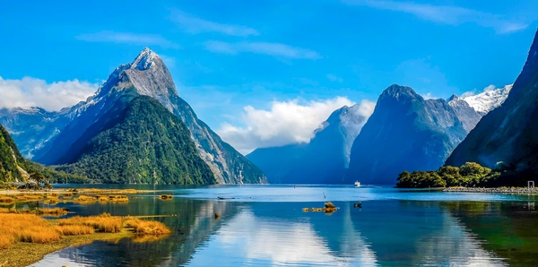 New Zealand Discovery Cruise