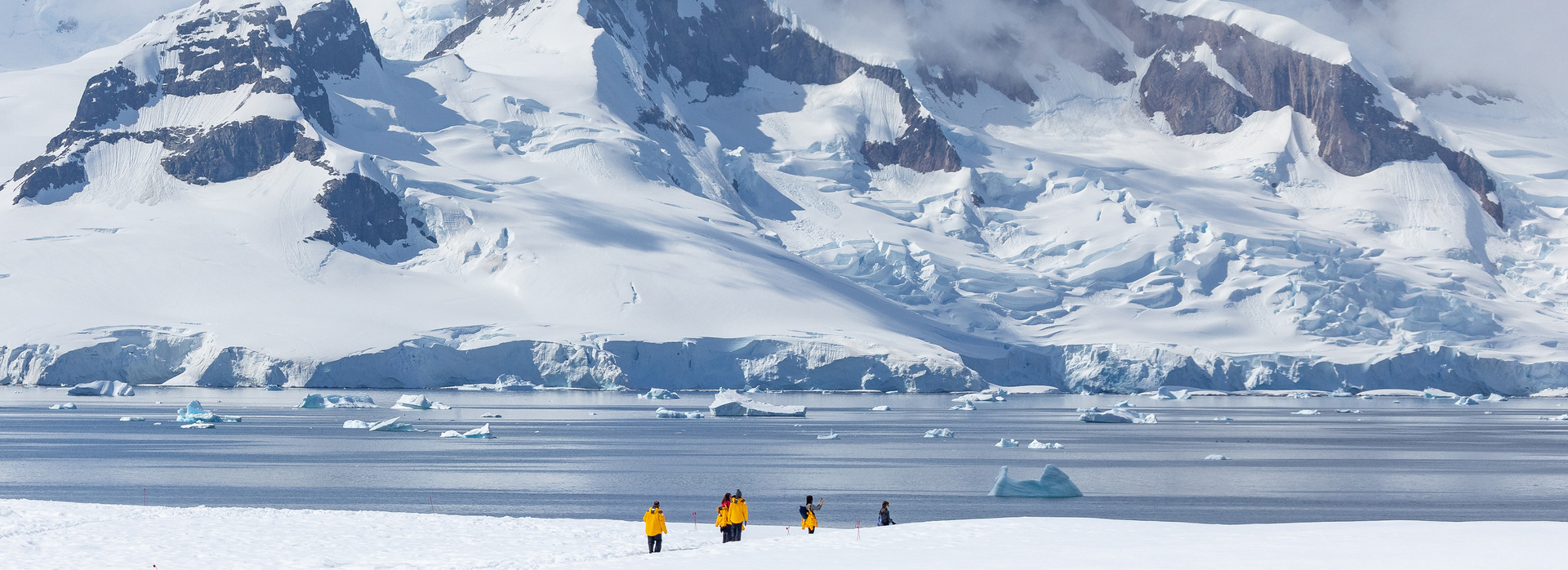 This is Polar Bonus banner